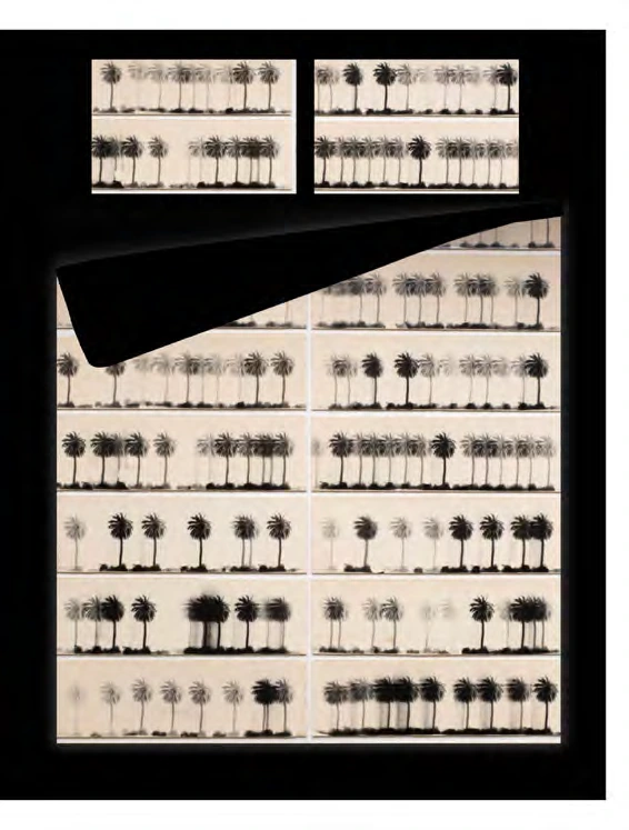 Palm-tree pattern Covers bedding design